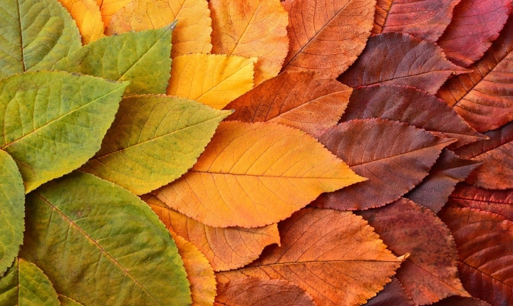 a quanti mesi si da l acqua ai neonati